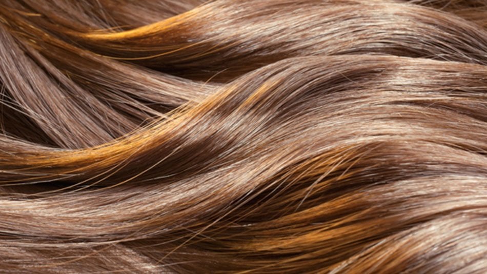 Brown Highlights Desktop