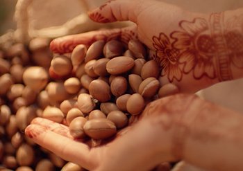 BP marvellous nectar contentbloc1